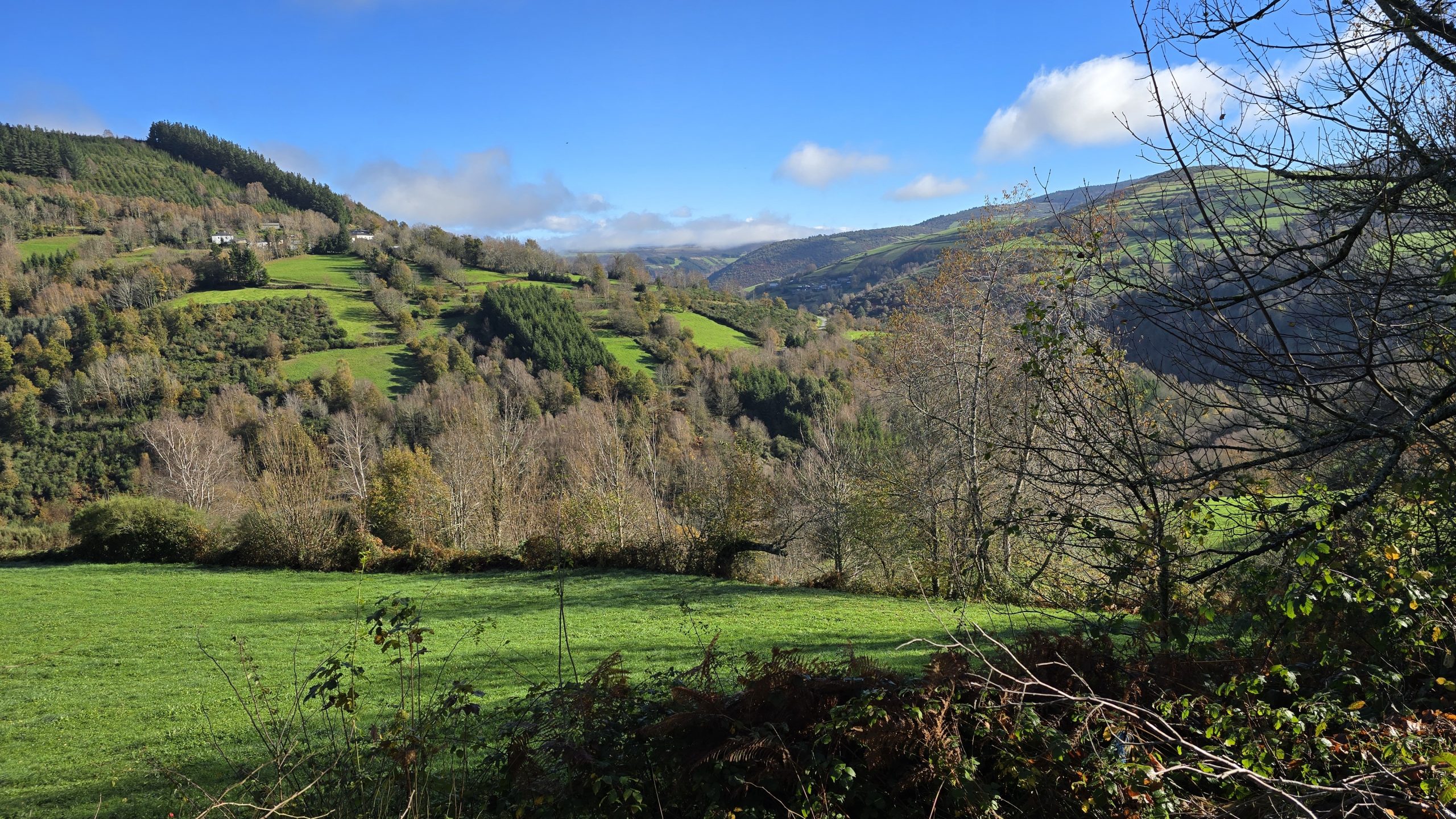 20241111_113326 galicia